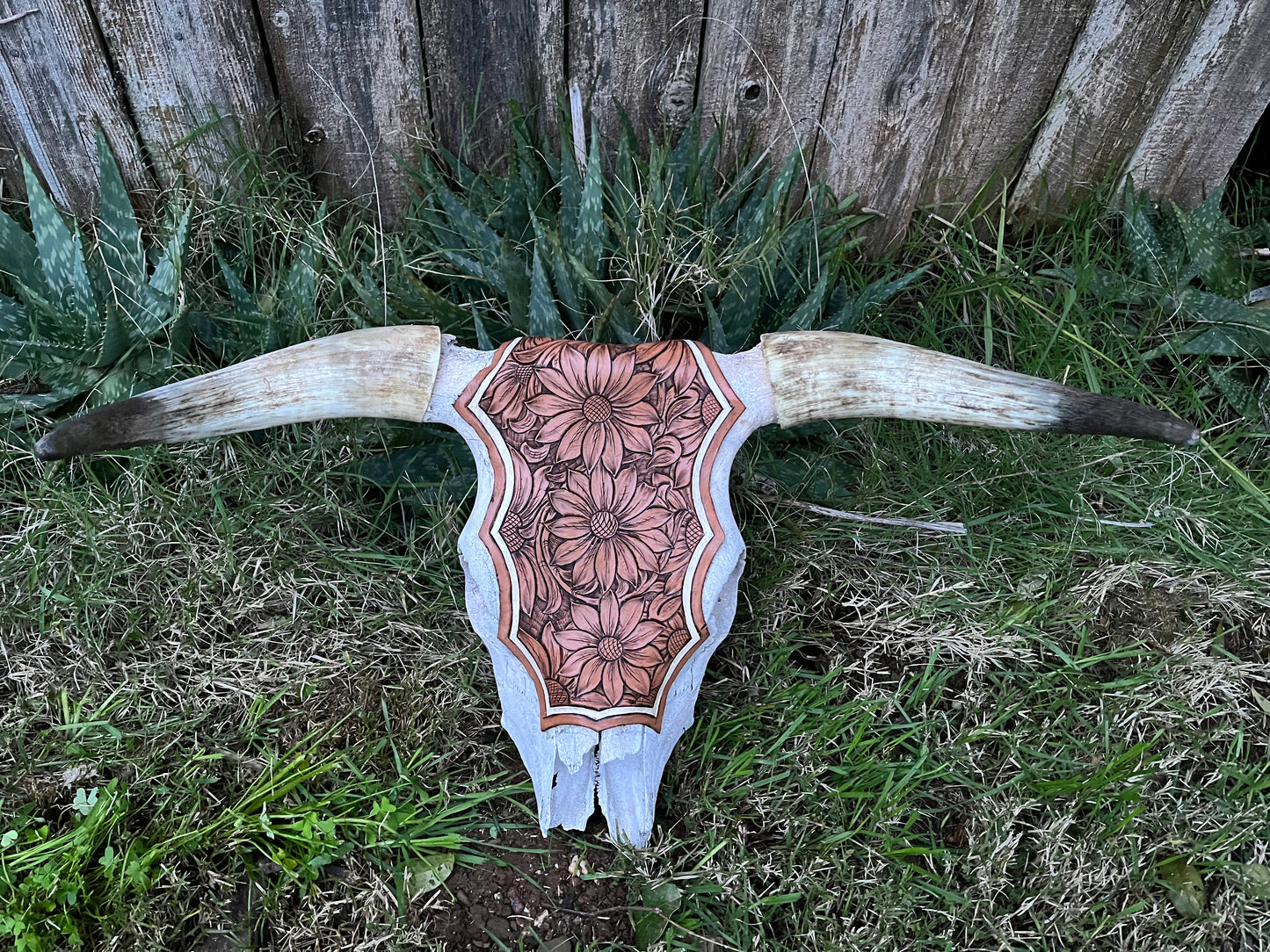 Tooled Steer Head