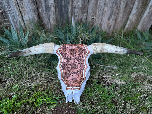 Tooled Steer Head